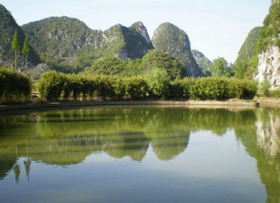 �F���ն������޷���C